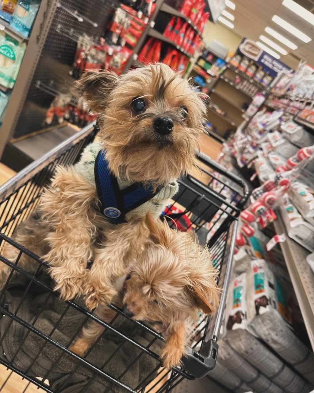 Weekend Trips to Full Time&nbsp;Adventure